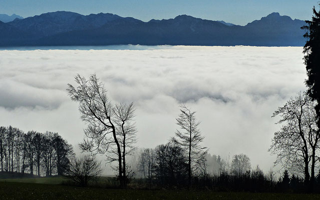 Inversionswetterlage beim Auerberg