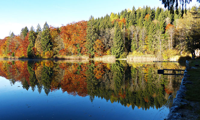 Impressionen aus dem schönen Allgäu