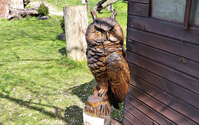 Holzschnitzerei im Greifvogelpark Menter in Konzenberg