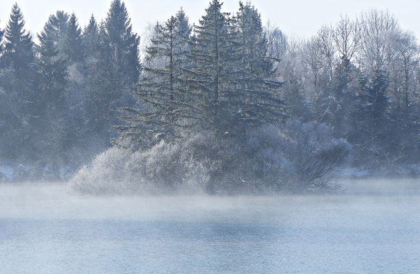 Auensee im Winter
