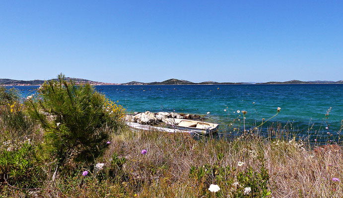 Tisno