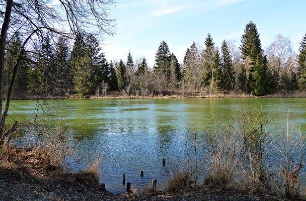 Der Lech bei Scheuring