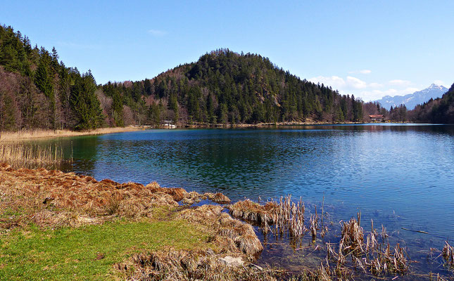 Der Alatsee