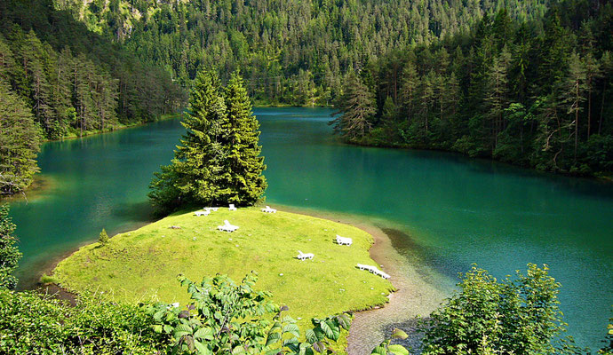 Der Fernsteinsee