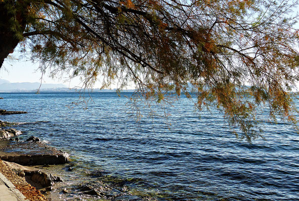 Spaziergang am Meer entlang