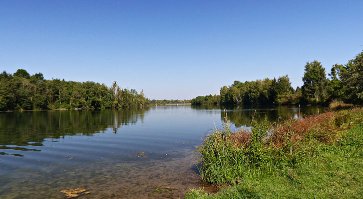 Der Lech bei Scheuring