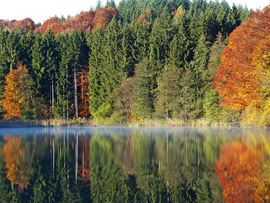 Impressionen aus dem schönen Allgäu