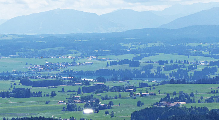 Die Natur beim Auerberg