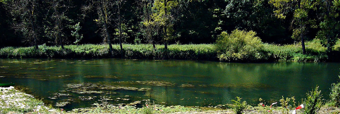 Die junge Donau