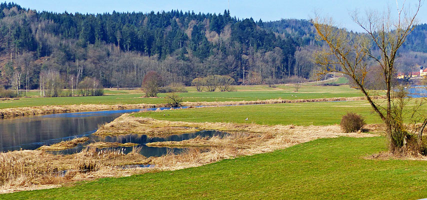 Der Fluss Regen im Frühjahr und Herbst