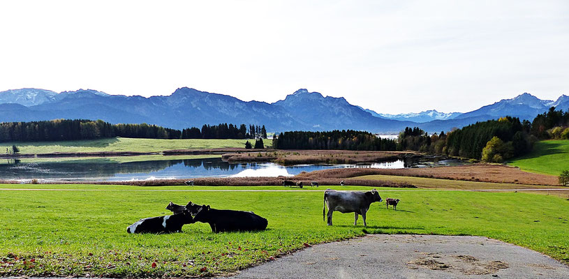 Im schönen Allgäu