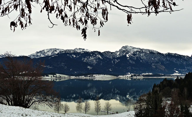 Der schöne Hopfensee
