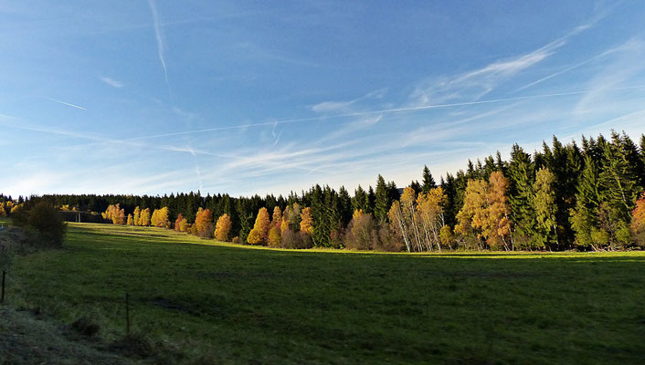 Herbst