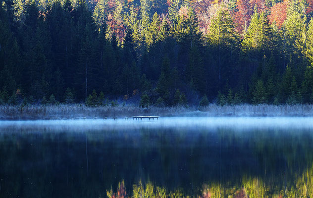 Impressionen aus dem schönen Allgäu