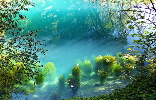 Beim Blautopf