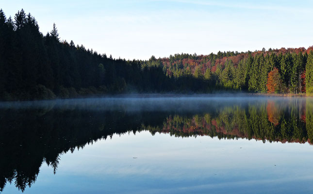Impressionen aus dem schönen Allgäu