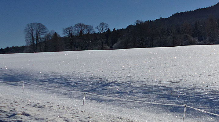 Eiskristalle