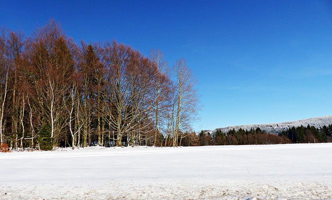 Tschechien im Winter 2017