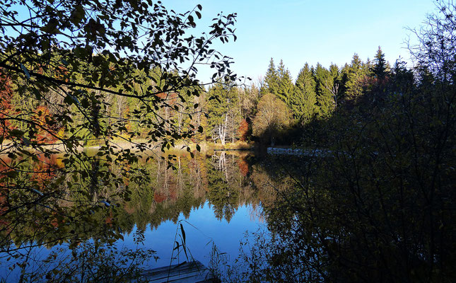 Impressionen aus dem schönen Allgäu