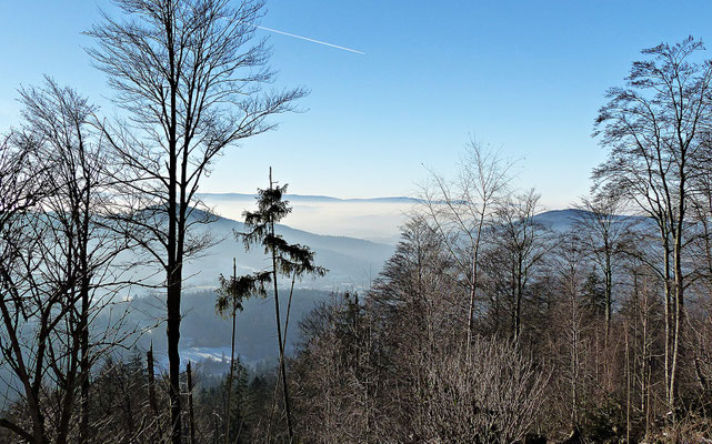 Im Bayerischen Wald