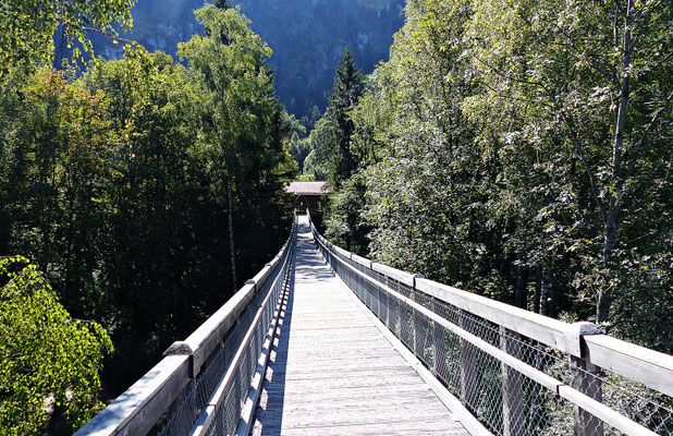 Der Baumwipfelpfad