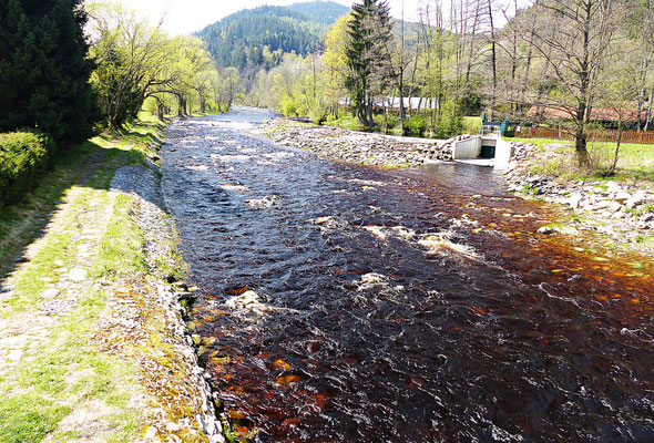Im Sumava