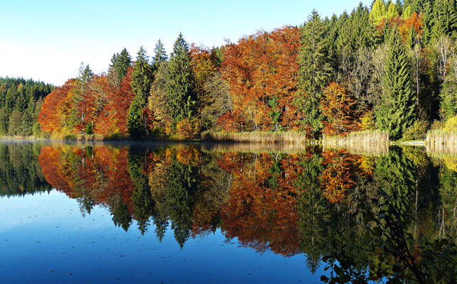 Impressionen aus dem schönen Allgäu