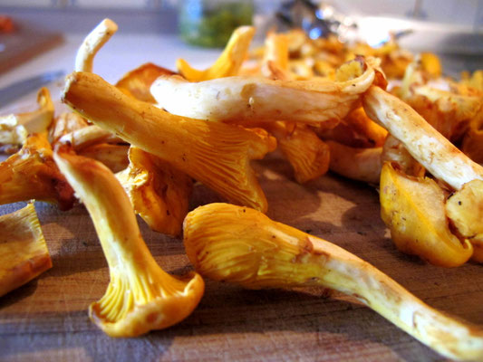 frische Pfifferlinge