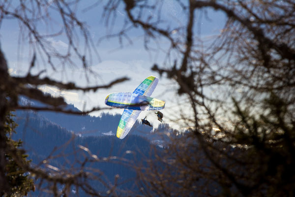 picture taken by Alois Rettenbacher