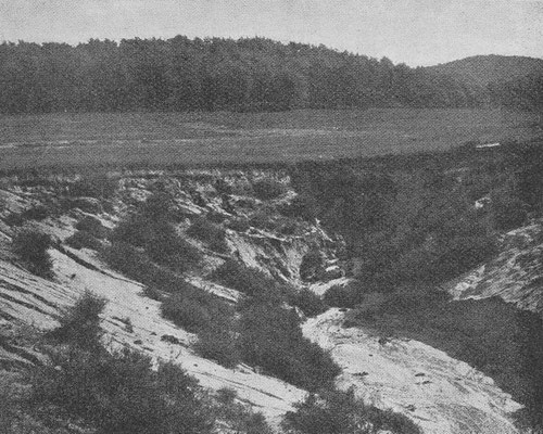 "Trockental südöstlich Oerlinghausen", Foto: Reibig