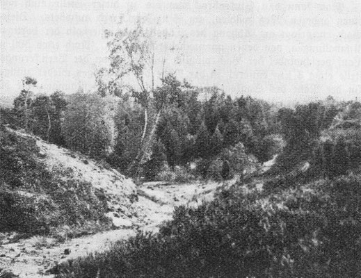 "Am Snakenbachtal", Foto: Pommer 