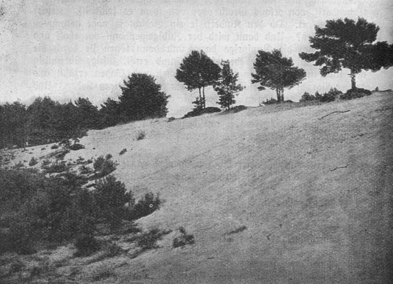 "Wanderdüne", Foto: R. Schirrmann