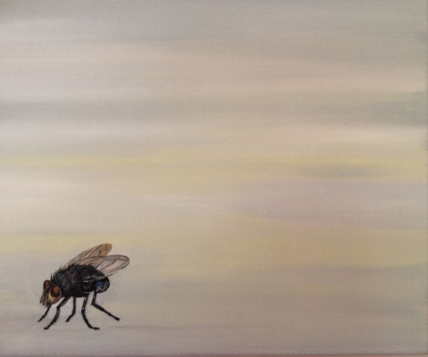 Musca ~ fly ~ Fliege ~ mosca ~ mouche ~ 飛 ~ フライ ~ الطاير ~ मक्खी ~  40 x 40 cm  oil/canvas