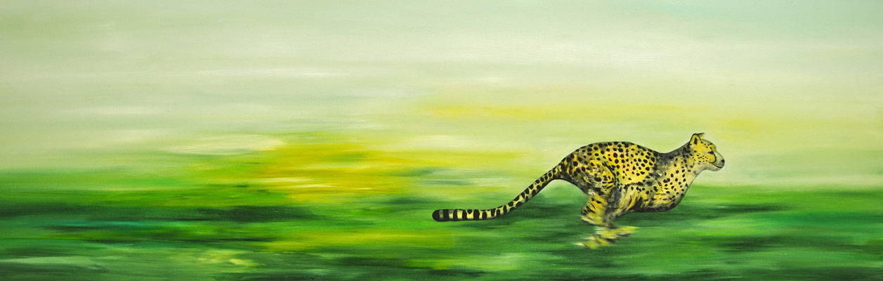  Acinonyx jubatus  ~  cheetah ~ Gepard  ~ ghepardo ~ guépard ~ guepardo ~ гепард ~ 獵豹 ~チーター~  الفهد الصياد~ चीता  ----- 40 x 60 cm oil/canvas