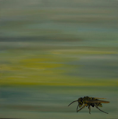  ~ Wasp ~ Wespe ----- 40 x 40 cm oil/canvas