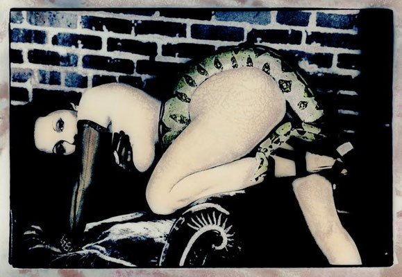PYTHON orig REPTILE