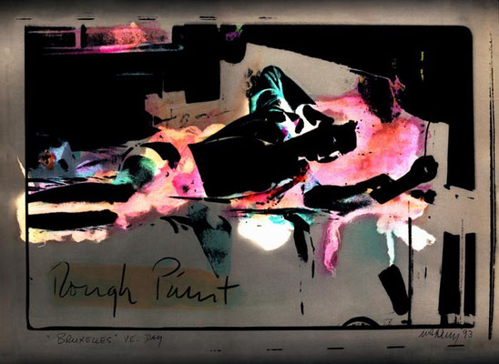 Rough Print Brussells Neg