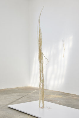 Luca Vanello © Jean-Christophe Lett