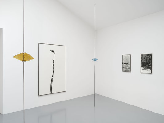Victoire Thierré © Jean-Christophe Lett