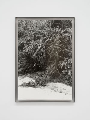 Victoire Thierré © Jean-Christophe Lett
