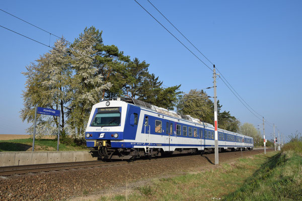 21.04.2022, S40 (#21019), Atzenbrugg (NÖ): Der Triebwagen mit der Nummer 4020.286 war im Jahr 2022 vorübergehend wieder mit dem alten ÖBB-Logo (dem "Pflatsch") unterwegs.