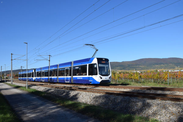 Zwei Garnituren der neuen Baureihe 500 der Badner Bahn am 04.11.2023 bei Tribuswinkel.