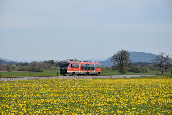 29.04.2022, REX 5876, Achenlohe (OÖ): Auch dieses Bild zeigt die Mattigtalbahn vor der Elektrifizierung. 
