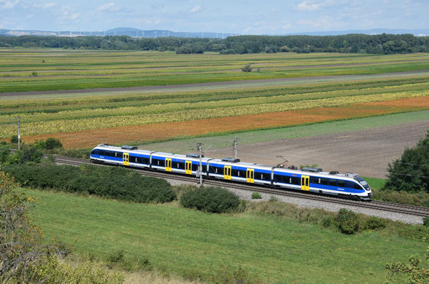 MAV 425.009 als REX 9434 auf dem Weg von Györ nach Bruck/Leitha. Nickelsdorf, 02.09.2023.