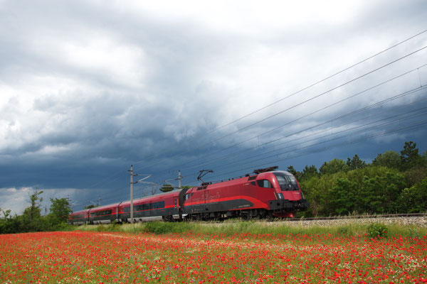 Manchmal passt es auch ohne Sonne: Nach einem Gewitter passiert ein Railjet ein Mohnfeld bei Theresienfeld.