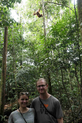 Ein Foto mit uns und einem Orang Utan im Baum