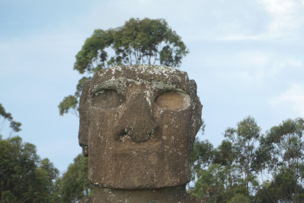 Dieser Moai in Ahu Akivi hatte Lust auf eine Alternative zum klassischen Pukao