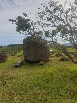 Petroglyphen lassen sich vielerorts auf der Insel entdecken, dieser Stein liegt nahe Orongo