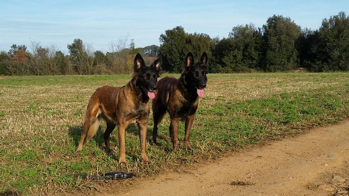 Gayenna & Gaucho in Spanien