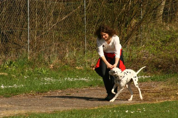 Spielend belohnen!